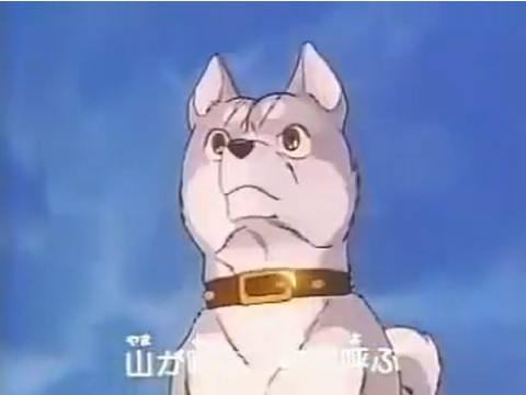 銀牙 流れ星 銀 概要 あらすじ 主題歌 登場人物 声優 いっぱいアニメを楽しもう