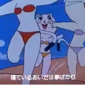 スーキャット　【概要・あらすじ・主題歌・登場人物・声優】