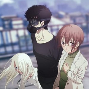 デビルズライン　【概要・あらすじ・主題歌・登場人物・声優】