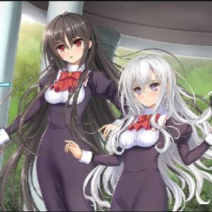 乙女はお姉さまに恋してる 2人のエルダー THE ANIMATION　【概要・あらすじ・主題歌・登場人物・声優】
