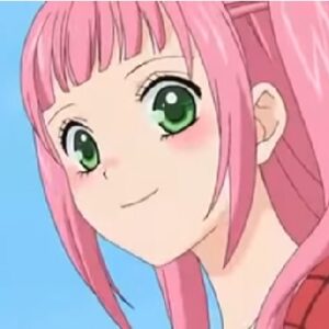 まりもの花 最強武闘派小学生伝説　【概要・あらすじ・主題歌・登場人物・声優】