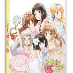 OVAの中に1人、妹がいる！　【概要・あらすじ・主題歌・登場人物・声優】